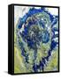 Tropical Storm-Roberto Gonzalez-Framed Stretched Canvas