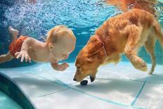 Funny Little Child Play with Fun and Train Golden Labrador Retriever Puppy in Swimming Pool, Jump A-Tropical studio-Laminated Photographic Print