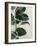 Tropical Study I-Julia Purinton-Framed Art Print