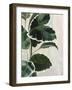 Tropical Study I-Julia Purinton-Framed Art Print