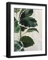 Tropical Study I-Julia Purinton-Framed Art Print