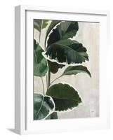 Tropical Study I-Julia Purinton-Framed Art Print