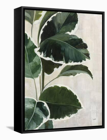 Tropical Study I-Julia Purinton-Framed Stretched Canvas