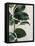 Tropical Study I-Julia Purinton-Framed Stretched Canvas