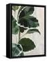 Tropical Study I-Julia Purinton-Framed Stretched Canvas