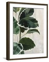 Tropical Study I-Julia Purinton-Framed Art Print