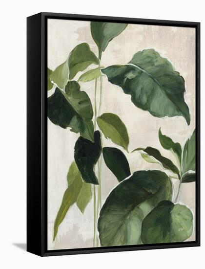 Tropical Study II-Julia Purinton-Framed Stretched Canvas