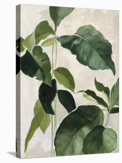 Tropical Study II-Julia Purinton-Stretched Canvas