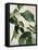 Tropical Study II-Julia Purinton-Framed Stretched Canvas