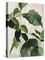 Tropical Study II-Julia Purinton-Stretched Canvas