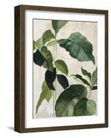 Tropical Study II-Julia Purinton-Framed Art Print