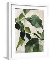 Tropical Study II-Julia Purinton-Framed Art Print
