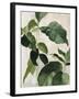 Tropical Study II-Julia Purinton-Framed Art Print