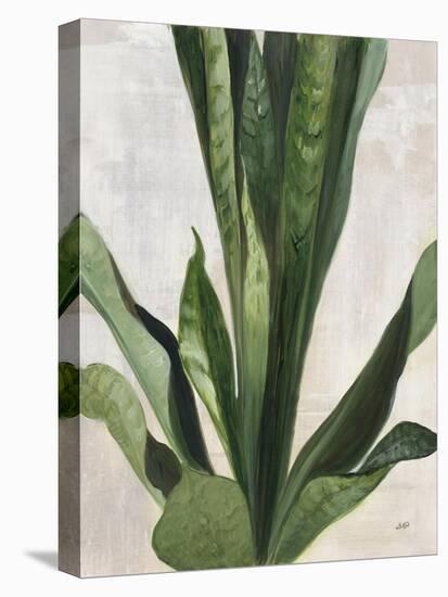 Tropical Study III-Julia Purinton-Stretched Canvas
