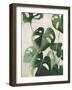 Tropical Study IV-Julia Purinton-Framed Art Print