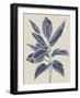 Tropical Succulent - Ripe-Chloe Watts-Framed Giclee Print