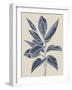 Tropical Succulent - Ripe-Chloe Watts-Framed Giclee Print