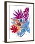 Tropical Summer III-Katrien Soeffers-Framed Giclee Print