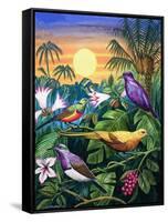 Tropical Sunbirds-John Chalkley-Framed Stretched Canvas