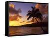 Tropical Sunrise on the Garden Isle, Kauai, Hawaii, USA-Jerry Ginsberg-Framed Stretched Canvas