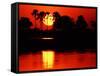 Tropical Sunset, Botswana-Charles Sleicher-Framed Stretched Canvas