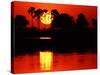 Tropical Sunset, Botswana-Charles Sleicher-Stretched Canvas