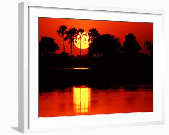 Tropical Sunset, Botswana-Charles Sleicher-Framed Photographic Print