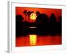 Tropical Sunset, Botswana-Charles Sleicher-Framed Photographic Print