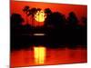 Tropical Sunset, Botswana-Charles Sleicher-Mounted Photographic Print