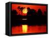 Tropical Sunset, Botswana-Charles Sleicher-Framed Stretched Canvas