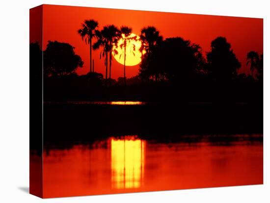 Tropical Sunset, Botswana-Charles Sleicher-Stretched Canvas