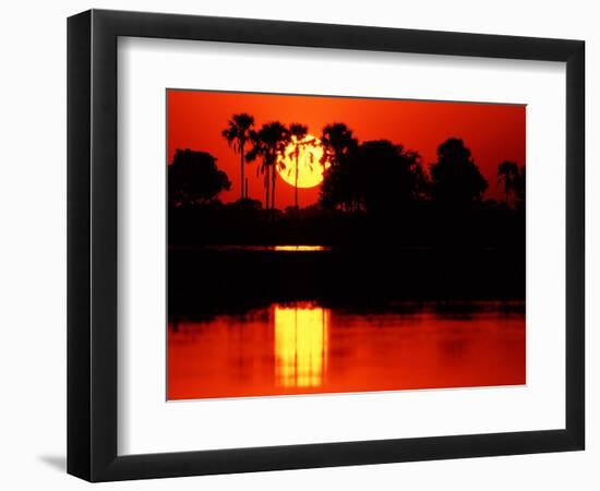 Tropical Sunset, Botswana-Charles Sleicher-Framed Photographic Print