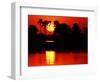 Tropical Sunset, Botswana-Charles Sleicher-Framed Photographic Print