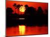 Tropical Sunset, Botswana-Charles Sleicher-Mounted Photographic Print