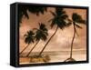 Tropical Sunset, Bridgetown, Barbados, West Indies, Caribbean, Central America-Angelo Cavalli-Framed Stretched Canvas
