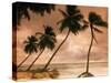 Tropical Sunset, Bridgetown, Barbados, West Indies, Caribbean, Central America-Angelo Cavalli-Stretched Canvas