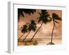 Tropical Sunset, Bridgetown, Barbados, West Indies, Caribbean, Central America-Angelo Cavalli-Framed Photographic Print