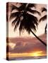 Tropical Sunset, Bridgetown, Barbados, West Indies, Caribbean, Central America-Angelo Cavalli-Stretched Canvas