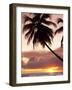 Tropical Sunset, Bridgetown, Barbados, West Indies, Caribbean, Central America-Angelo Cavalli-Framed Photographic Print