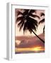 Tropical Sunset, Bridgetown, Barbados, West Indies, Caribbean, Central America-Angelo Cavalli-Framed Photographic Print