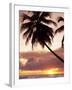 Tropical Sunset, Bridgetown, Barbados, West Indies, Caribbean, Central America-Angelo Cavalli-Framed Photographic Print