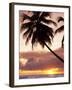 Tropical Sunset, Bridgetown, Barbados, West Indies, Caribbean, Central America-Angelo Cavalli-Framed Photographic Print