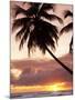 Tropical Sunset, Bridgetown, Barbados, West Indies, Caribbean, Central America-Angelo Cavalli-Mounted Photographic Print