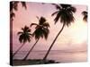 Tropical Sunset, Bridgetown, Barbados, West Indies, Caribbean, Central America-Angelo Cavalli-Stretched Canvas