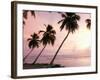 Tropical Sunset, Bridgetown, Barbados, West Indies, Caribbean, Central America-Angelo Cavalli-Framed Photographic Print