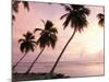 Tropical Sunset, Bridgetown, Barbados, West Indies, Caribbean, Central America-Angelo Cavalli-Mounted Photographic Print