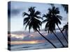 Tropical Sunset, Bridgetown, Barbados, West Indies, Caribbean, Central America-Angelo Cavalli-Stretched Canvas