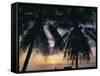 Tropical Sunset Framed by Palm Trees, Cayman Islands, West Indies, Central America-Ruth Tomlinson-Framed Stretched Canvas