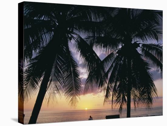 Tropical Sunset Framed by Palm Trees, Cayman Islands, West Indies, Central America-Ruth Tomlinson-Stretched Canvas