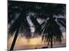 Tropical Sunset Framed by Palm Trees, Cayman Islands, West Indies, Central America-Ruth Tomlinson-Mounted Photographic Print